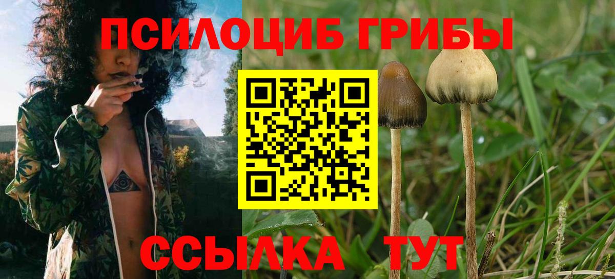Галлюциногенные грибы мухоморы Ялта